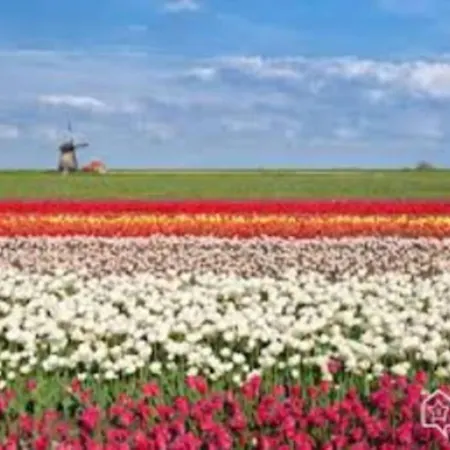 Art & Nature *